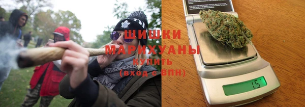 дживик Вязьма