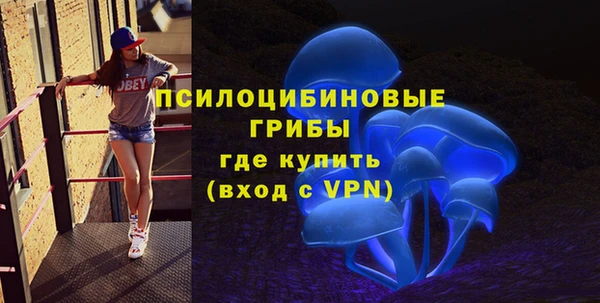 дживик Вязьма