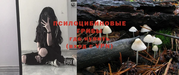дживик Вязьма